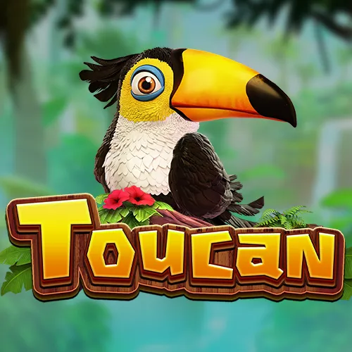 Toucan